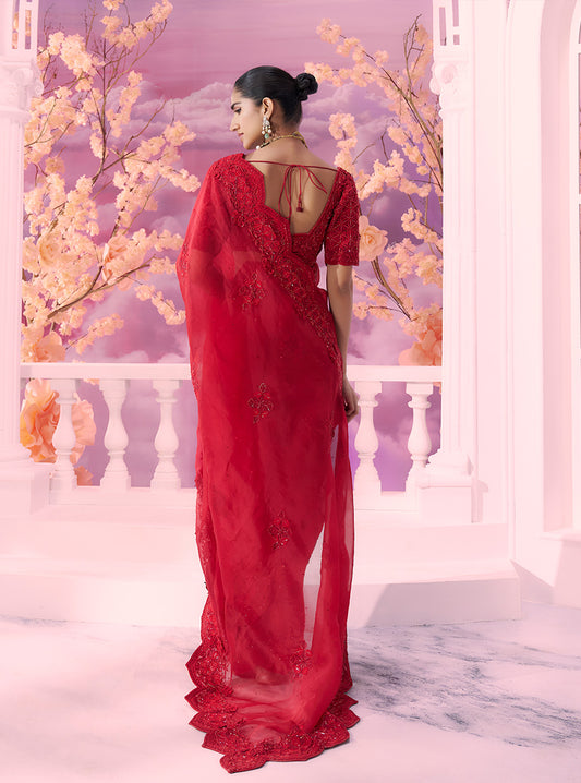 Red Grid Saree Tonal - Ankush Jain