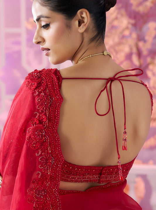Red Saree 3d Work - Ankush Jain