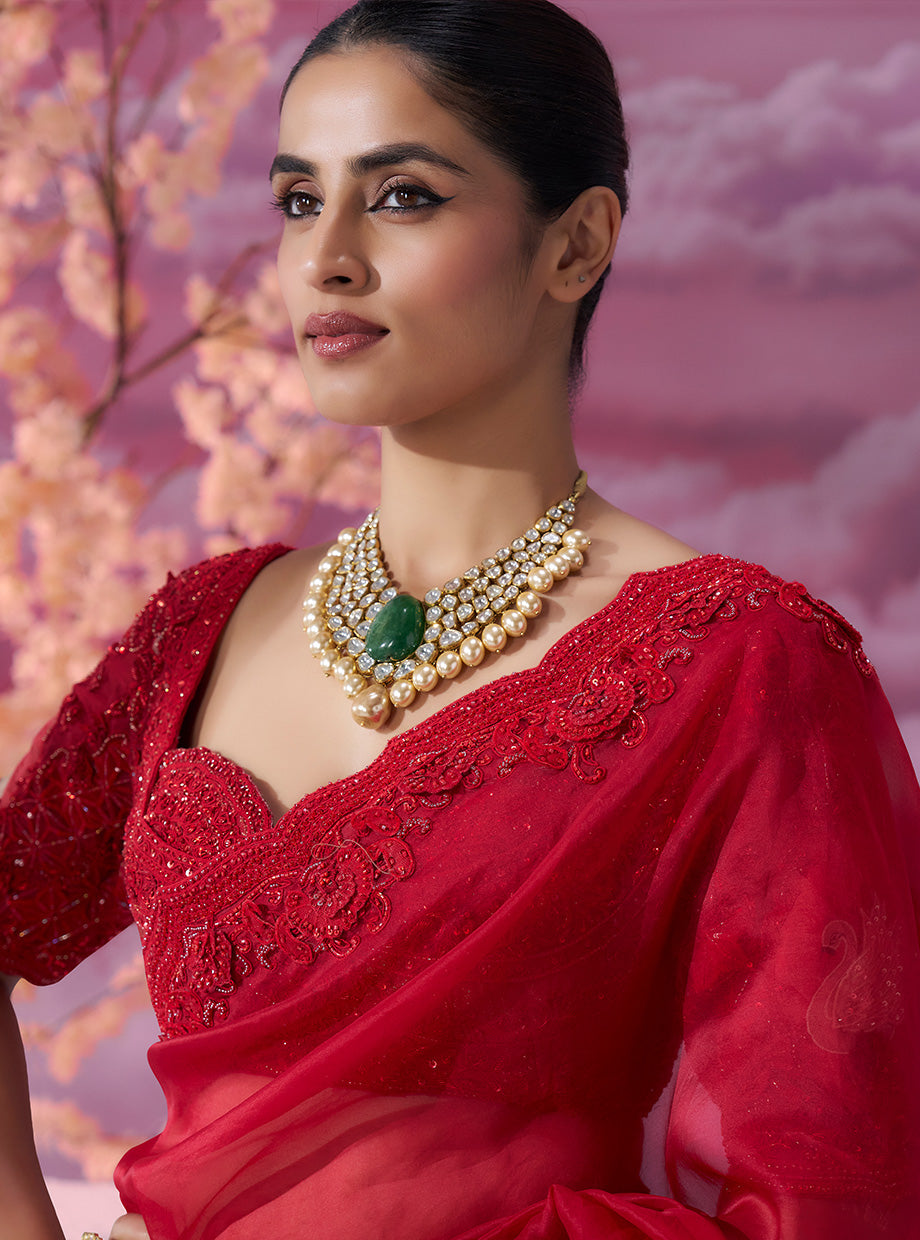 Red Saree 3d Work - Ankush Jain