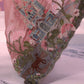 Pink Cutwork Panther Saree - Ankush Jain