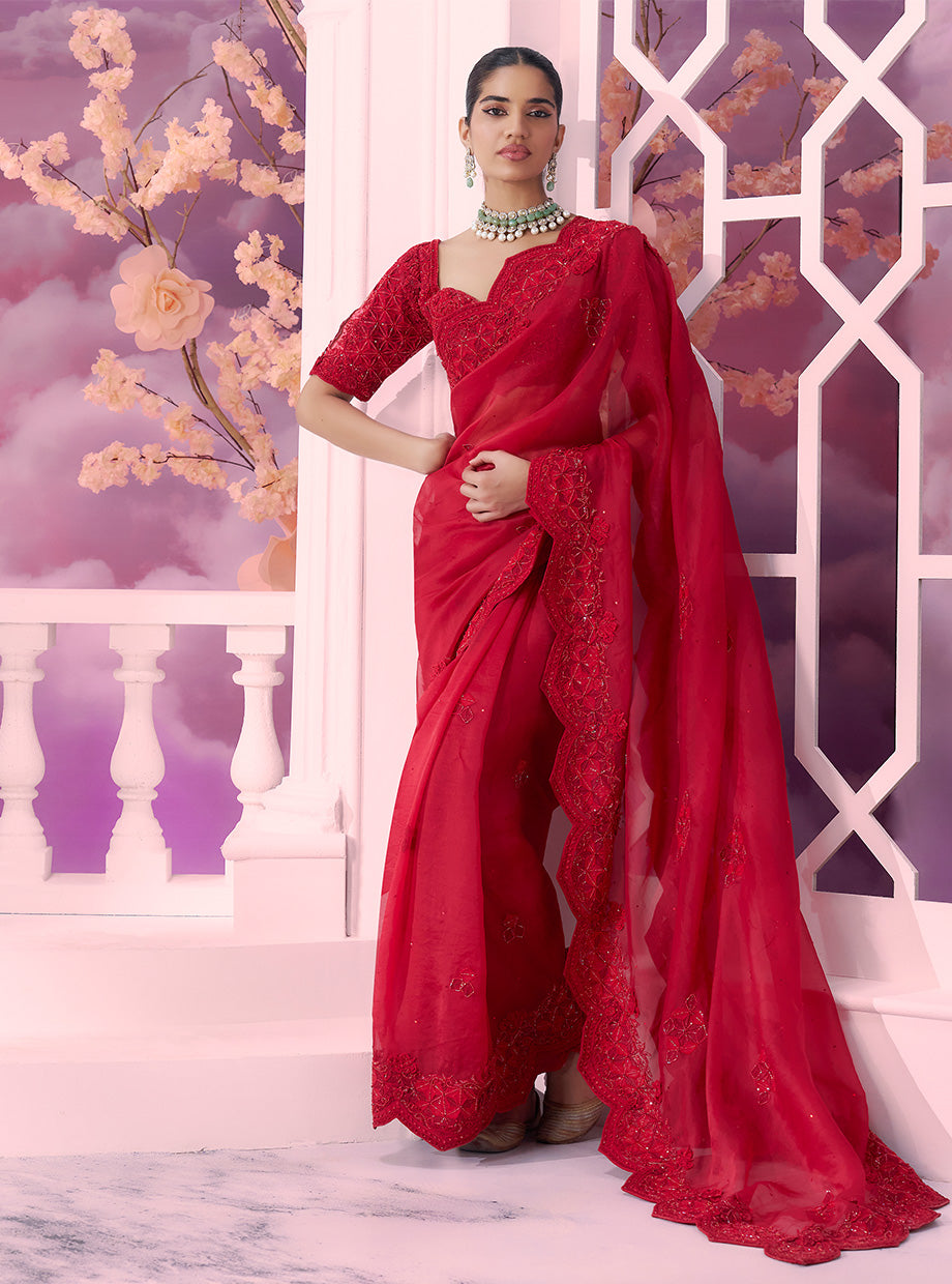 Red Grid Saree Tonal - Ankush Jain