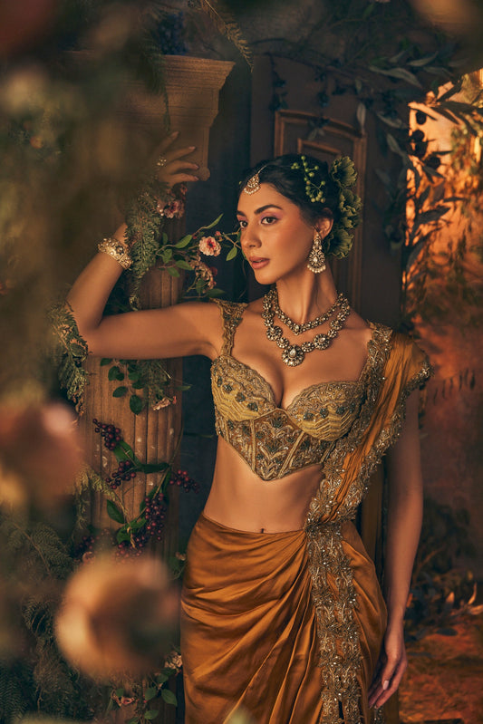 Double Bordered drape Saree - Ankush Jain