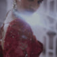 Red Grid Saree Tonal
